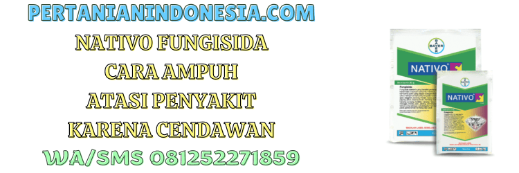nativo,fungisida,nativo 75 wg,bayer,pertanian indonesia